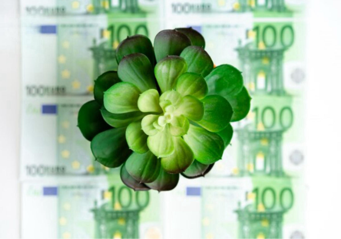 Borsa e Sostenibilità: Come Investire in Modo Etico e Guadagnare nel Lungo Termine